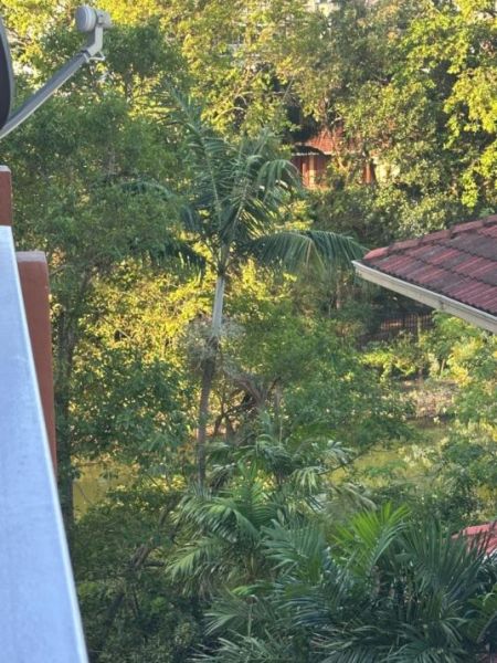 Exterior - 3 Bedroom Fully Furnished Apartment for Sale - Nawala | LKR 60,000,000 (EM696)
