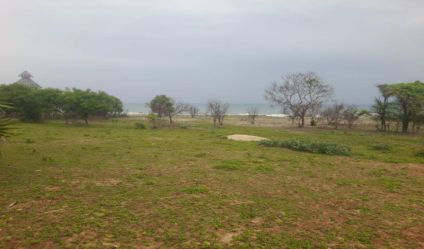 Beachfront land