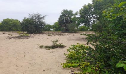 Beachfront land