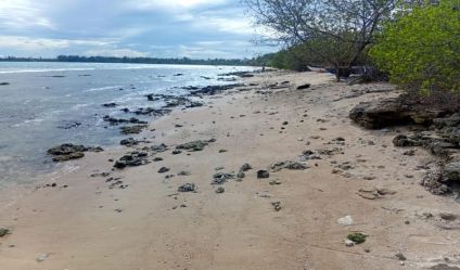 Beachfront land