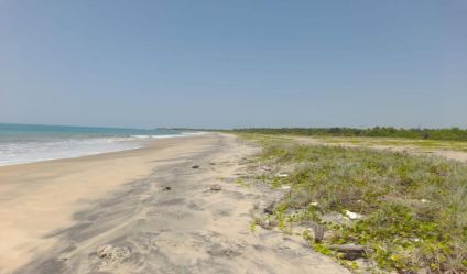 Beachfront land