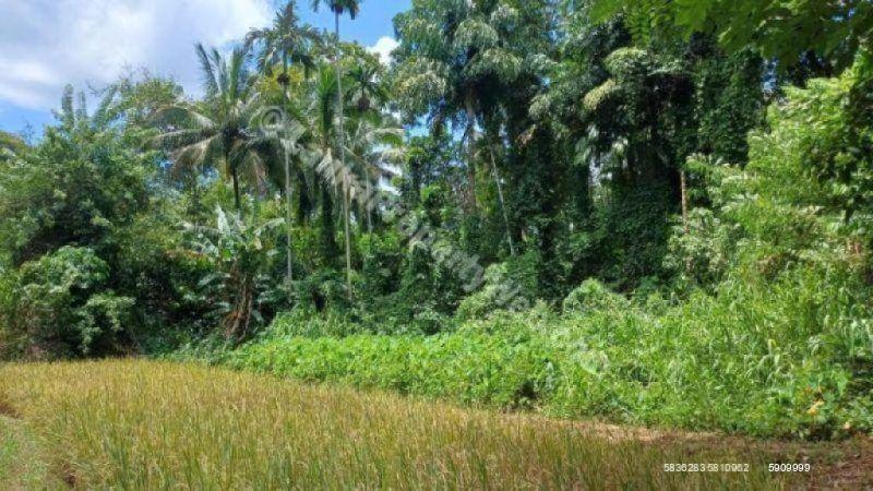 Bare Land for sale in Kandy