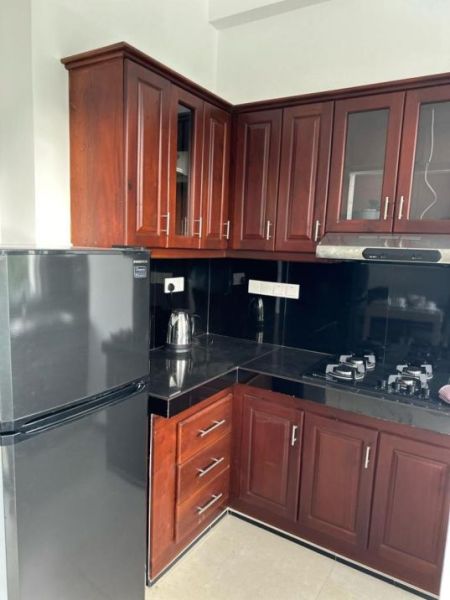 Kitchen - Private Apartment Complex - 3 Apartments Property for Sale - EA550