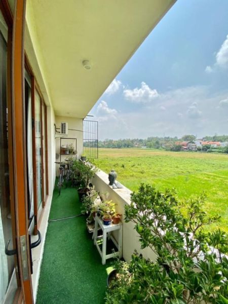 Exterior - 5 Bedroom house for sale in Malabe