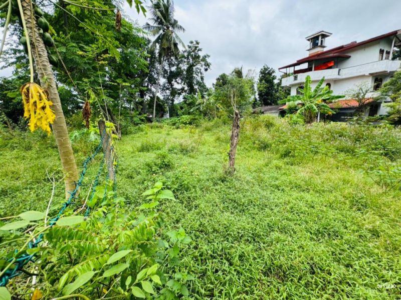 Bare Land for sale in Piliyandala