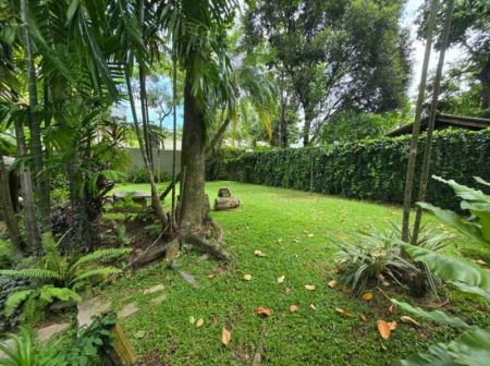 Exterior - 03 Bedroom Furnished 02 Storied House for Rent in Colombo 07 (A6126)