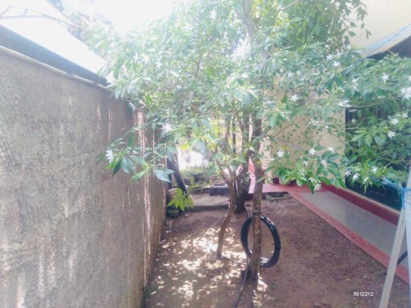 Exterior - House for sale in Panadura