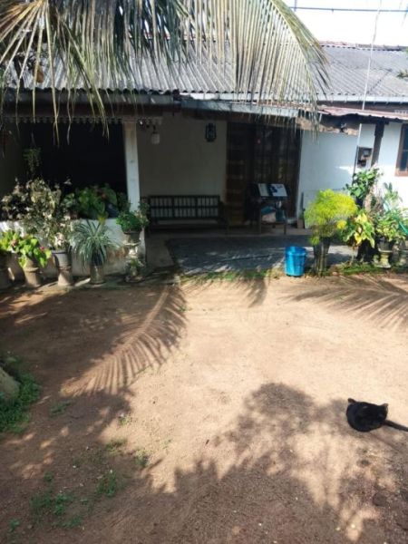 Exterior - House for sale in Bokundara 