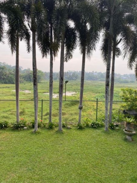 Exterior - 5 Bedroom villa for sale in Pannipitiya for Rs. 350 million (negotiable)