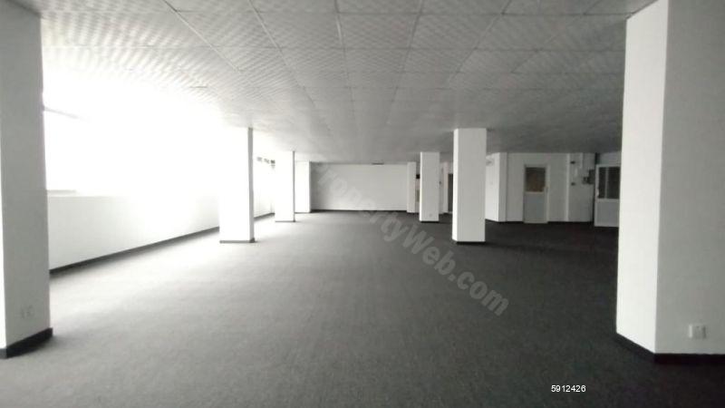 Colombo 3 Commercial for sale/rent