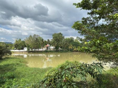 Exterior -  Two-storey house for sale in Kuruwita (SSPH-391)