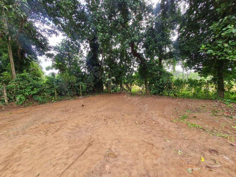 Bare Land for sale in Maharagama