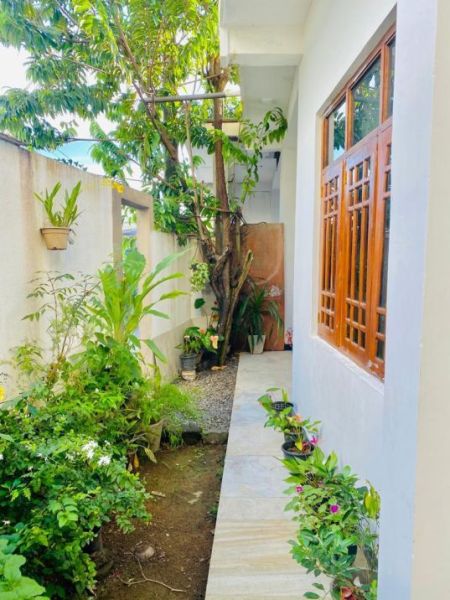 Exterior - Single Storied House For Sale in Rajagiriya- PDH161