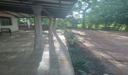 Land with house