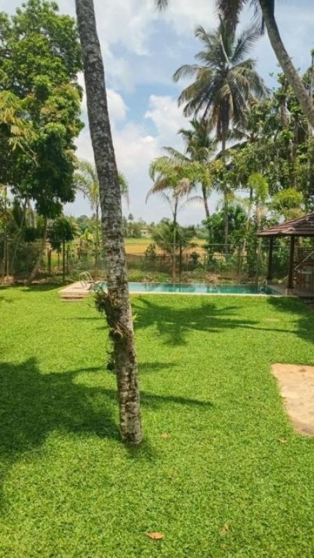 Exterior - 5 BR Two Storied House For Rent in Battaramulla- PDH199