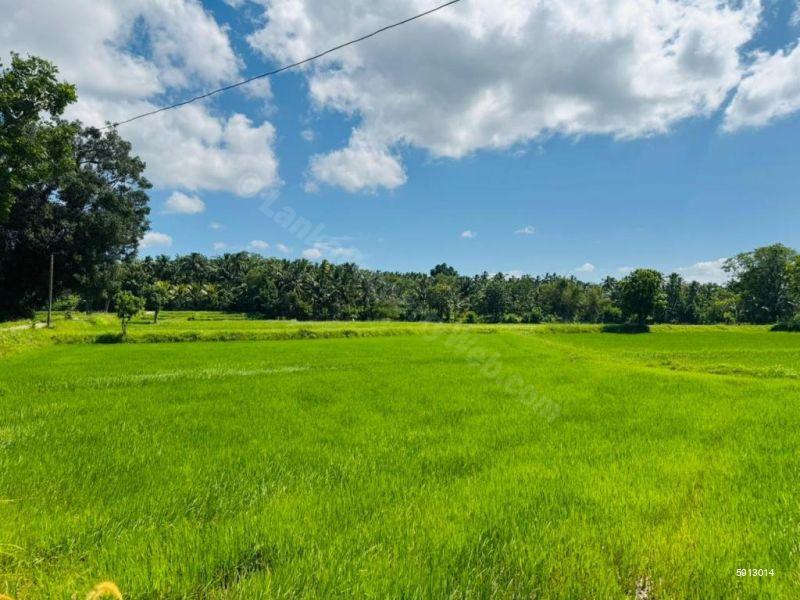 Bare Land for sale in Ibbagamuwa