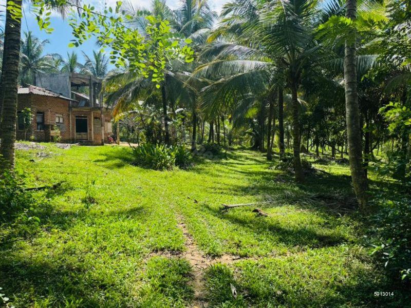 Bare Land for sale in Ibbagamuwa