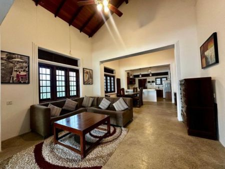 Living Room - Commercial/Residential Purpose Bungalow and Building for Rent in a good location