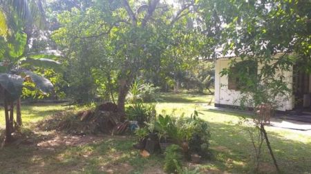 Exterior - Land with Old House for Sale – Habaraduwa, 