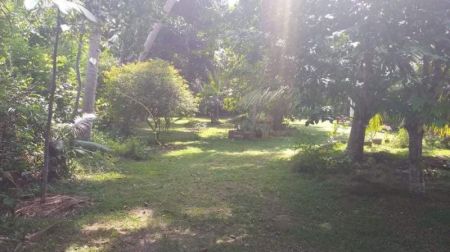 Exterior - Land with Old House for Sale – Habaraduwa, 