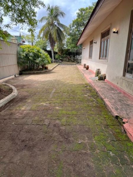 Exterior - IDEAL FOR A COMMERCIAL PURPOSE. Single Story House for sale in Kotte.