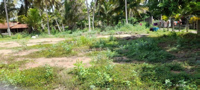 Bare Land for sale in Ihala Katuneriya