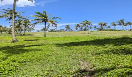 Beachfront land