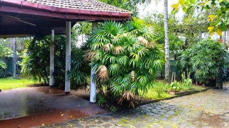 Exterior - Valuable Property for Sale in Kiribathgoda – Large Land with Existing House