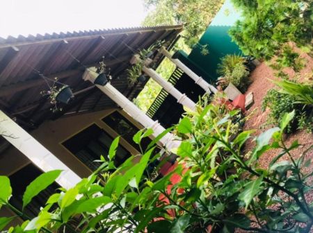 Exterior - (KH898) Single Storey House for Sale in Andiambalama