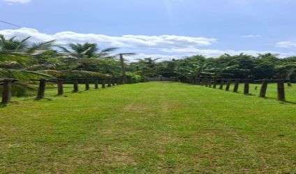 Cultivated Land