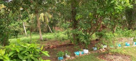 Exterior - 222 Perch Colonial Villa for sale, Kabalana