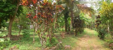 Exterior - 222 Perch Colonial Villa for sale, Kabalana