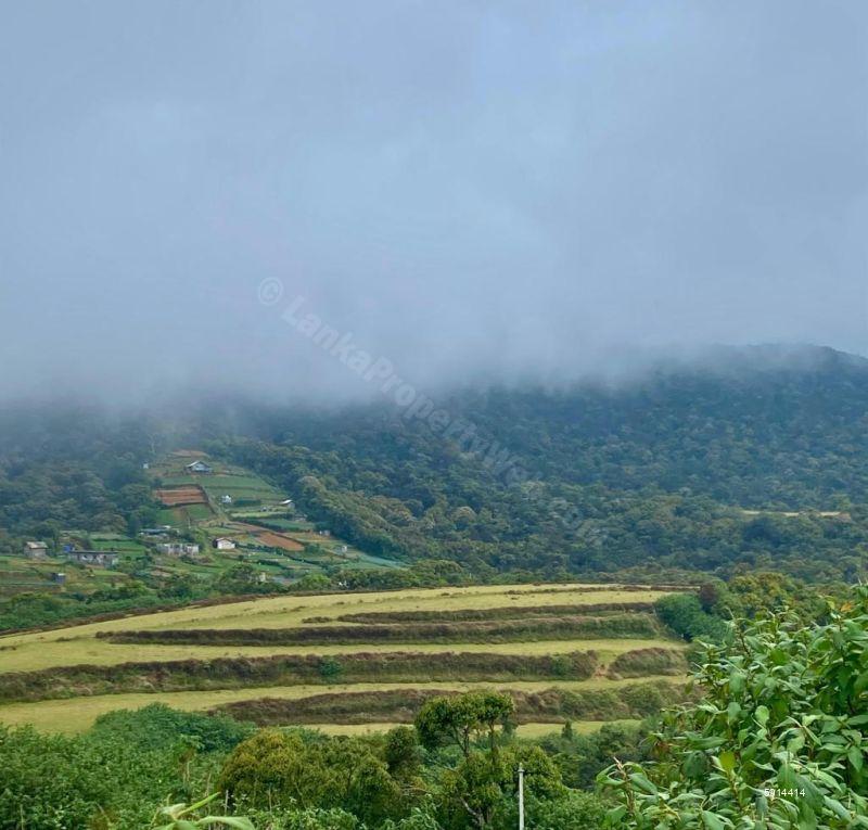 Nuwara Eliya Bare Land for sale/rent