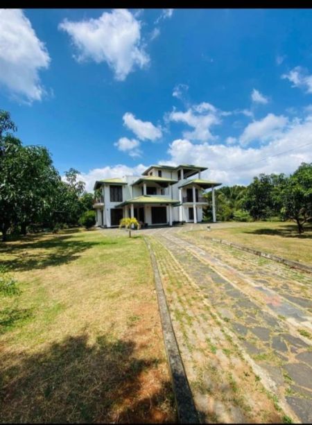 Exterior - Galewela : 6br (100p) 3-storey House For Sale