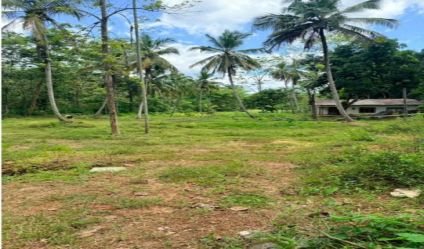 Bare Land