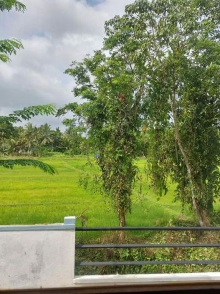 Exterior - (AH39) Single Storey House for Sale in Homagama