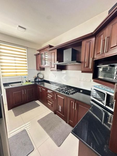 Kitchen - 4 Bedroom Apartment for Rent in Colombo 4