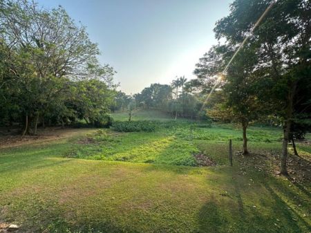 Exterior - Luxurious 4-Bedroom House for Sale Thalawathugoda