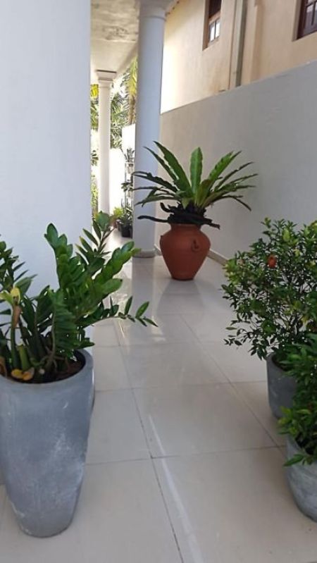 Exterior - 2 Story  6 Bedrooms House For Sale in Thalawathugoda - EH218