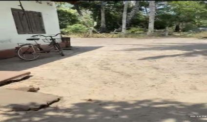 Land with house