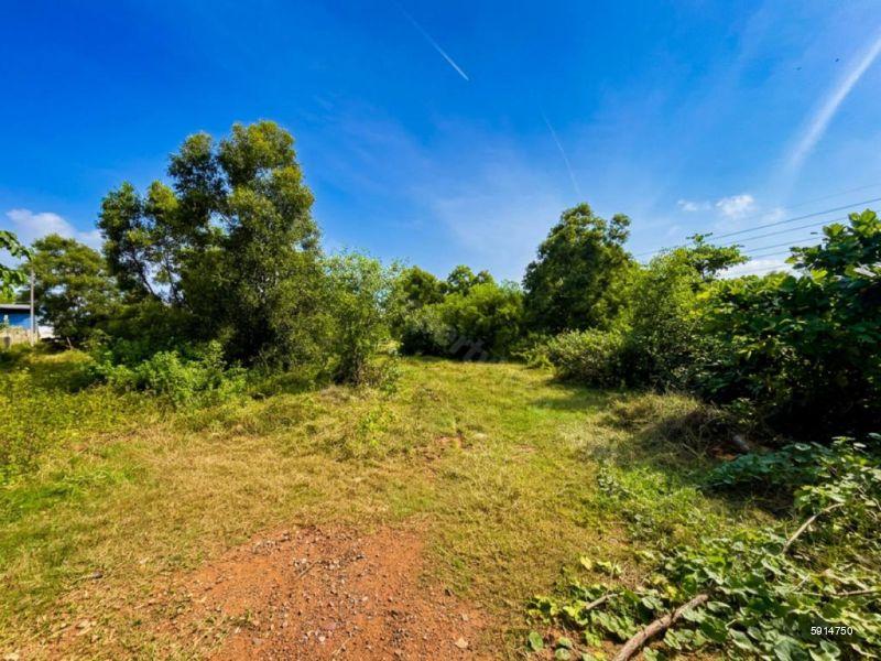 Wattala Bare Land for sale/rent