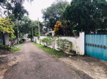 Exterior - (SH1279) Single Storey House for Sale in Kurunegala
