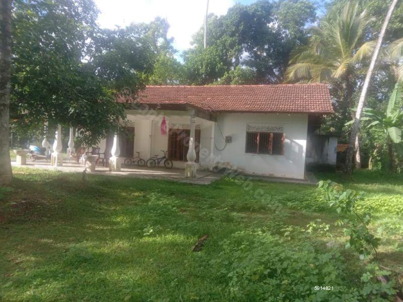 Exterior - House for sale in Divulapitiya