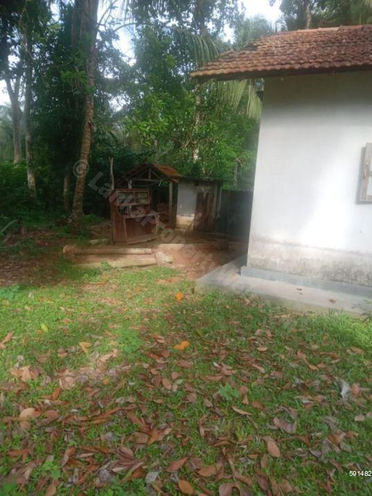 Exterior - House for sale in Divulapitiya