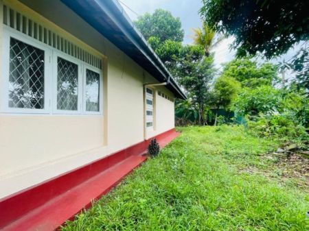 Exterior - Peaceful Family Residence Surrounded by Greenery in Kelaniya