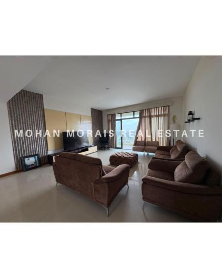 Living Room - Apartment for Rent Havelock City 