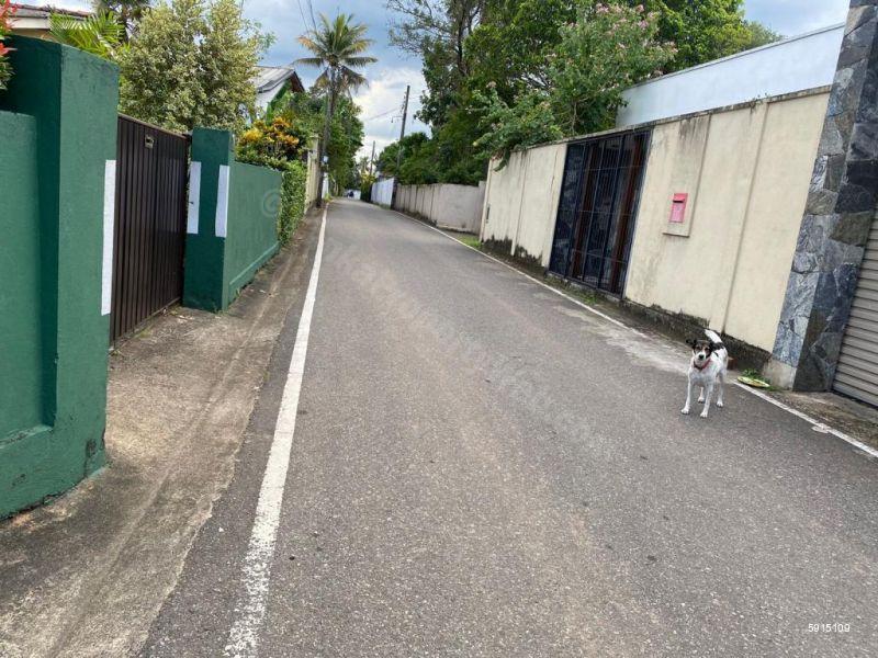 Bare Land for sale in Thalawathugoda