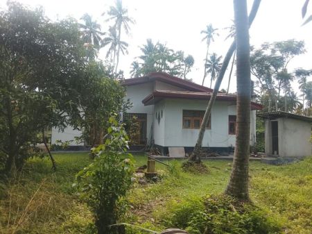 Exterior - (KH824) Single Storey House for Sale in Negombo