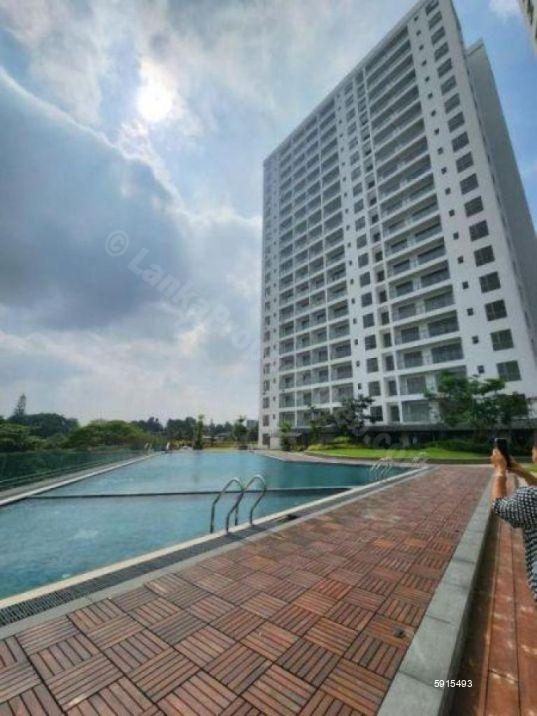 Apartment for rent in Pita Kotte