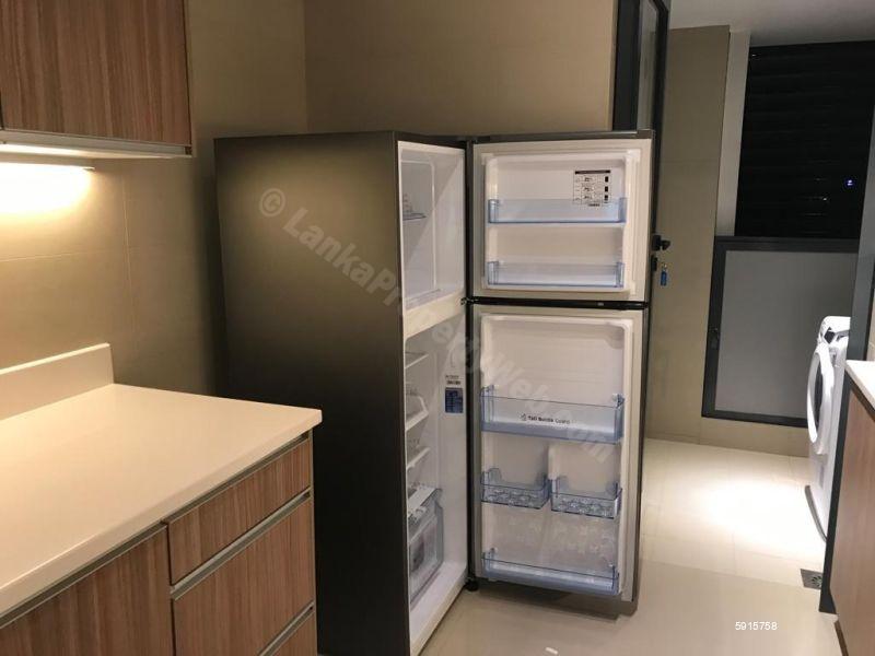 Apartment for rent in Colombo 5